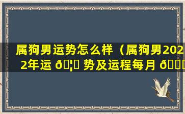 属狗男运势怎么样（属狗男2022年运 🦄 势及运程每月 💐 运程）